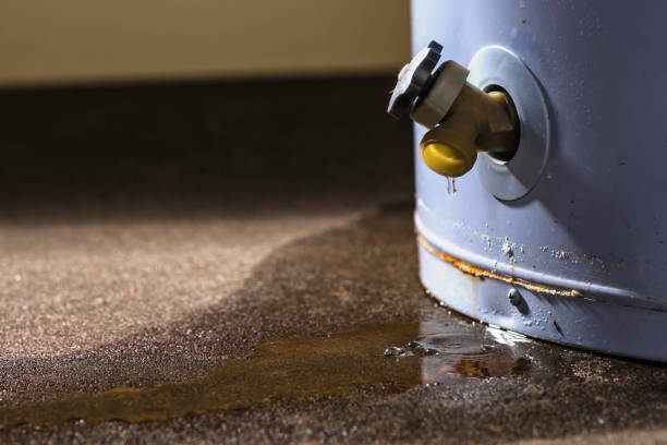 Best Water damage mitigation services  in Wilson, WY
