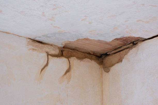 Reliable WY Water damage restoration Solutions