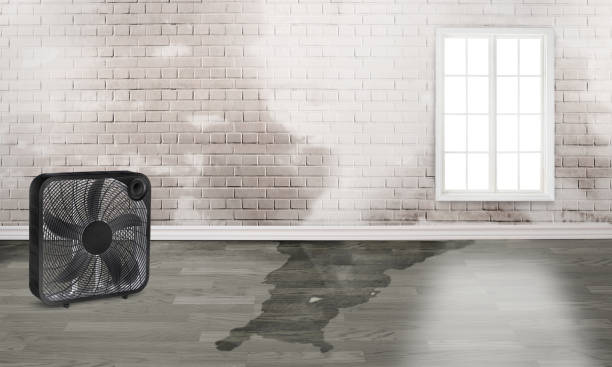 Professional Water damage restoration in WY